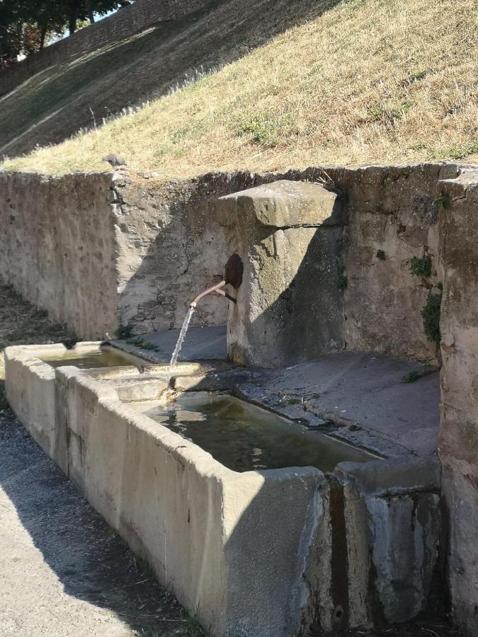 Un Petit Coin De France : A Cote De La Cite Medievale Apartment Carcassonne Bagian luar foto