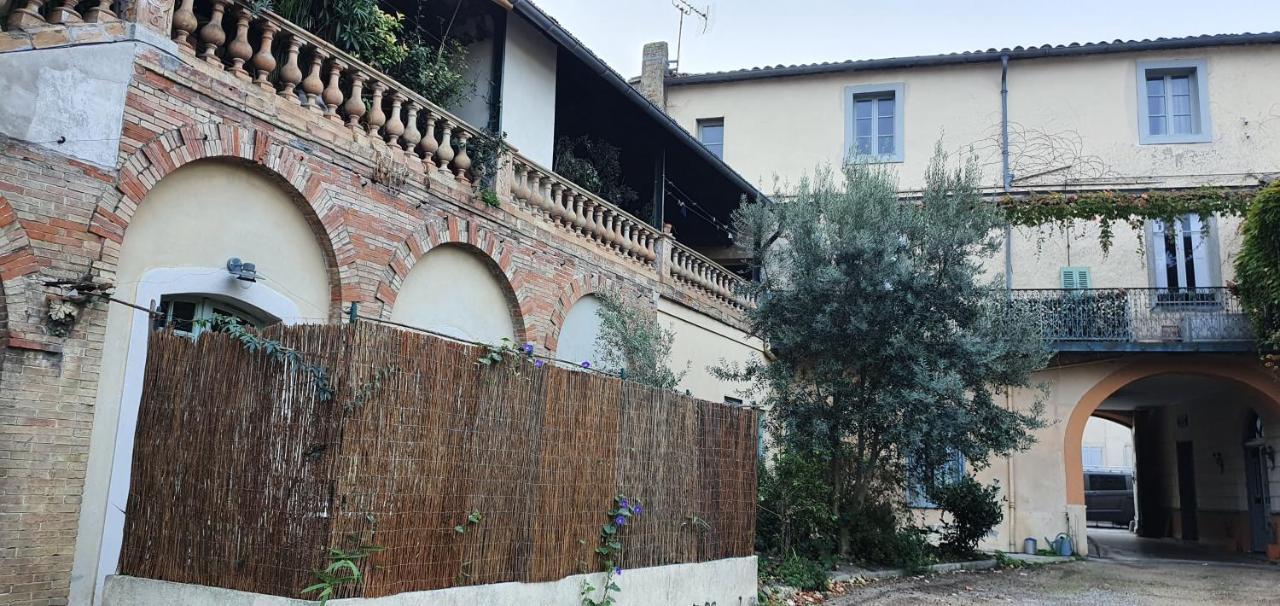 Un Petit Coin De France : A Cote De La Cite Medievale Apartment Carcassonne Bagian luar foto